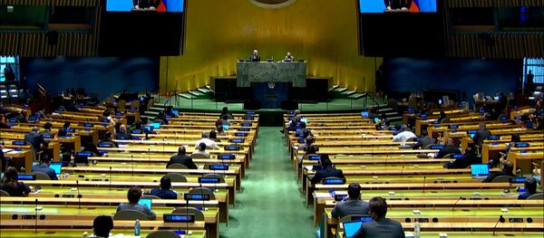 გაეროს უსაფრთხოების საბჭოს გაზრდა სურს. რა შეიცვლება მშვიდობის შესანარჩუნებლად? - Sputnik საქართველო