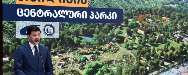 თბილისის ახალი ცენტრალური პარკის მშენებლობის პროექტის პრეზენტაცია თბილისის ახალი ცენტრალური პარკის მშენებლობის პროექტის პრეზენტაცია - Sputnik საქართველო