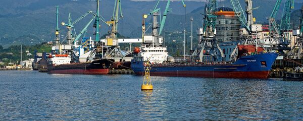 Батумский морской порт  - торговые суда на разгрузке - Sputnik Грузия
