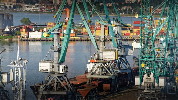 Батумский морской порт - портовые краны и контейнеры в летнее время - Sputnik Грузия
