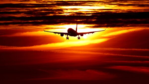 Пассажирский самолет в лучах заката заходит на посадку в аэропорт Шарль-де-Голль. Париж, Франция - Sputnik Грузия