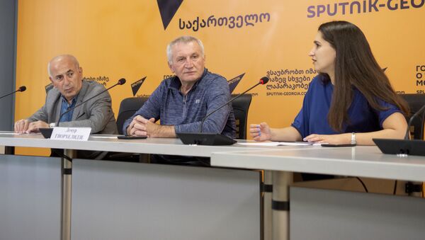 Пресс-конференция на  тему Программы партий в Грузии – как спасти экономику - Sputnik Грузия