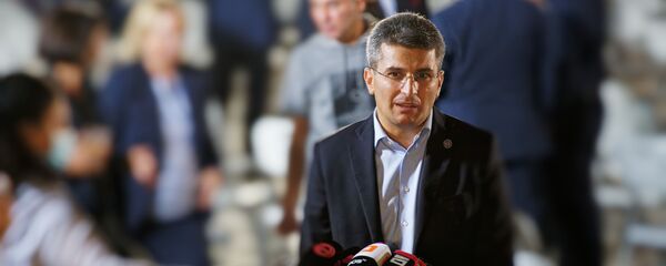 მამუკა მდინარაძე - Sputnik საქართველო