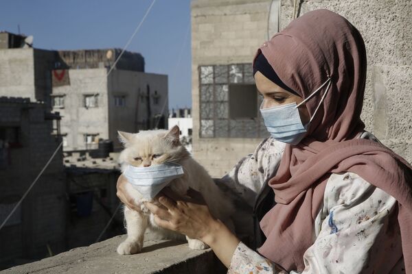Палестинская художница Хулуд аль-Десуки с кошкой во время изоляции в Хан-Юнисе на юге сектора Газа - Sputnik Грузия