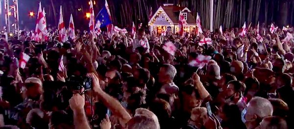 ენმ-ს მიტინგი ბათუმში ენმ-ს მიტინგი ბათუმში - Sputnik საქართველო