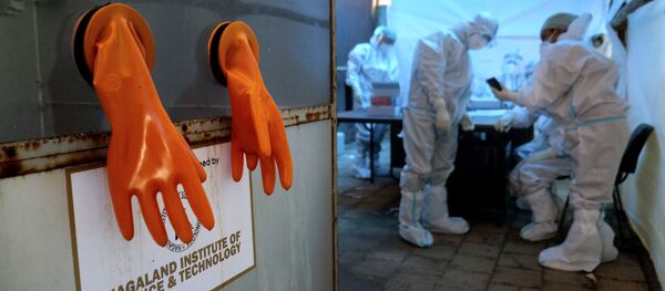 Пандемия коронавируса COVID-19 . Лаборатория по тестированию на вирус в Дели , Индия - Sputnik Грузия