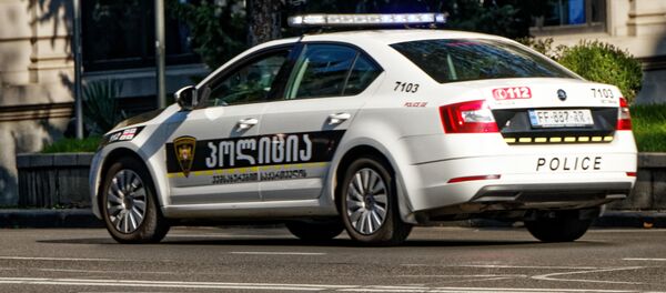 Патрульная полиция - Sputnik Грузия