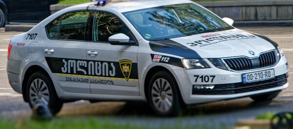 Патрульная полиция Патрульная полиция - Sputnik Грузия