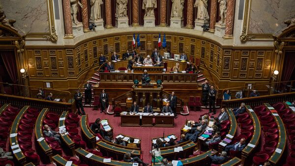 Сенат Франции проголосовал за смягчение санкций против России - Sputnik Грузия