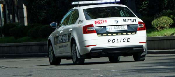 Патрульная полиция - Sputnik Грузия