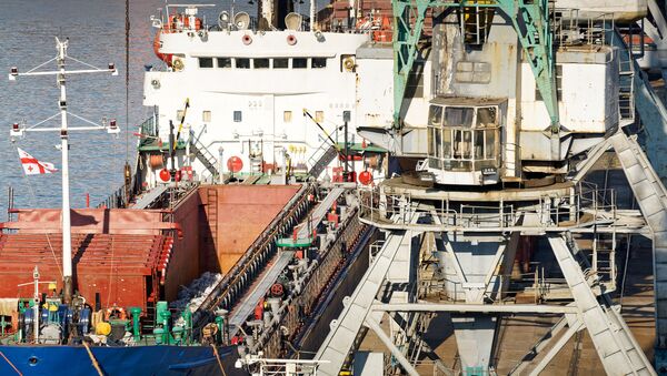 Портовые краны в морском грузовом порту разгружают судно - Sputnik Грузия