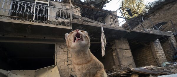 ვითარება მთიან ყარაბაღში ვითარება მთიან ყარაბაღში - Sputnik საქართველო