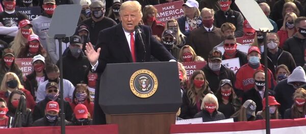 Путин ответил на обвинения кандидатов в президенты США - видео - Sputnik Грузия