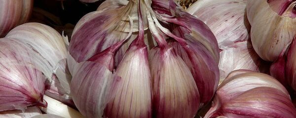 Ajos morados - Sputnik საქართველო