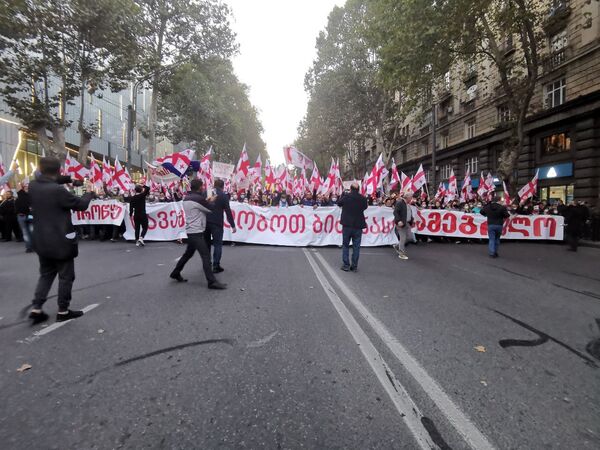 „ნაცმოძრაობამ“ მიტინგზე ათასობით მომხრე გამოიყვანა – სააკაშვილი მათ ონლაინ მიმართავს - Sputnik საქართველო