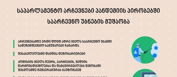 საპარლამენტო არჩევნები პანდემიის პირობებში - Sputnik საქართველო