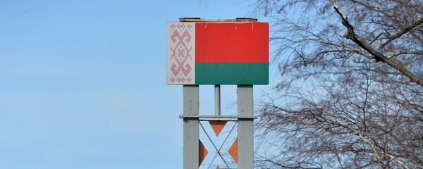 Информационный знак о въезде в Беларусь, архивное фото Информационный знак о въезде в Беларусь, архивное фото - Sputnik Грузия