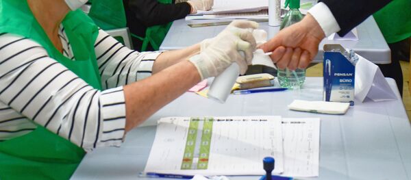 არჩევნები არჩევნები - Sputnik საქართველო