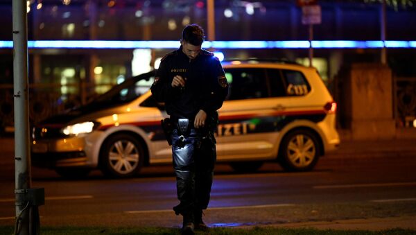 Следователи и криминалисты на месте террористического нападения в Вене, Австрия - Sputnik Грузия