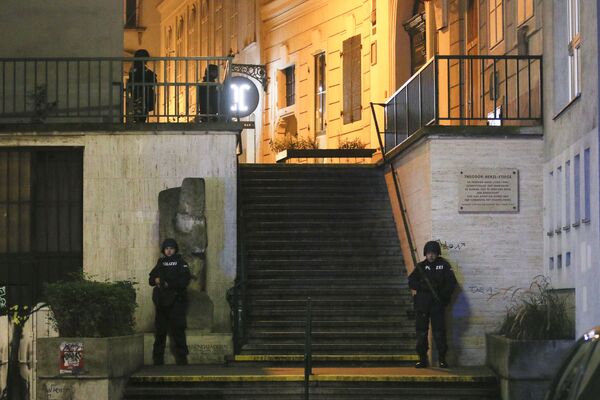 Глава МВД Австрии Карл Нехаммер заявил, что убитый в Вене стрелок симпатизировал запрещенной группировке Исламское государство* - Sputnik Грузия