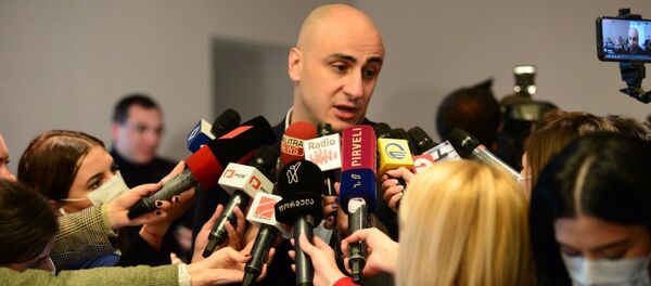 ნიკა მელია ნიკა მელია - Sputnik საქართველო