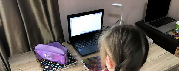 Онлайн школа. Дистанционное обучение - Sputnik Грузия