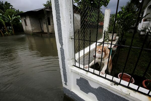 Последствия наводнения в Гондурасе - Sputnik Грузия