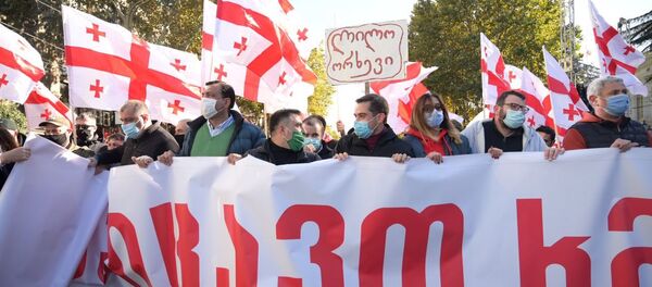 აქცია პარლამენტთან . 08.11.2020 - Sputnik საქართველო