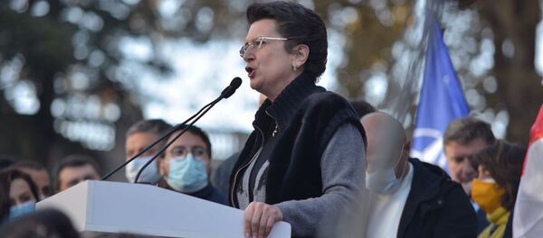 Нино Бурджанадзе. Масштабная акция протеста оппозиции в воскресенье 8 ноября 2020 перед зданием парламента Грузии Нино Бурджанадзе. Масштабная акция протеста оппозиции в воскресенье 8 ноября 2020 перед зданием парламента Грузии - Sputnik Грузия