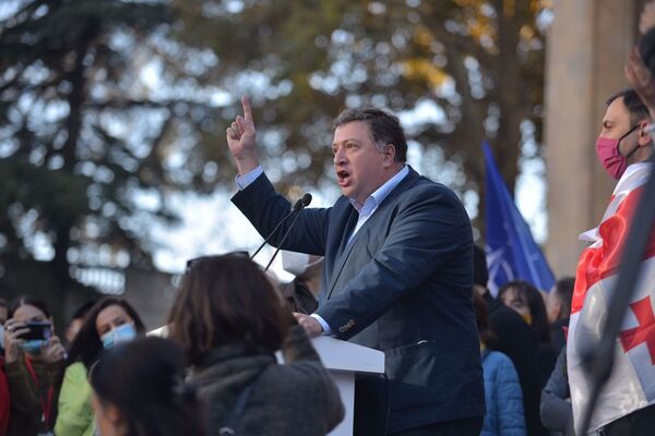 „ვარდების რევოლუციის“ თაობა“ - რა განცხადებები გაკეთდა თბილისის საპროტესტო აქციაზე   - Sputnik საქართველო