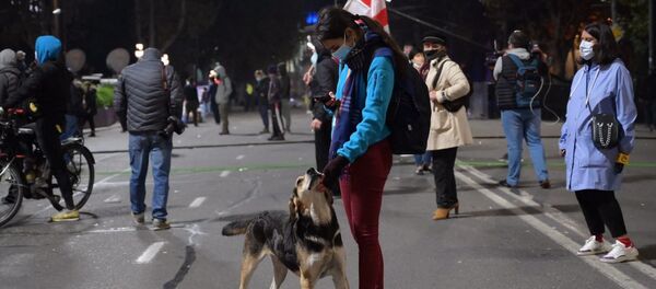 საპროტესტო აქცია პარლამენტთან საპროტესტო აქცია პარლამენტთან - Sputnik საქართველო