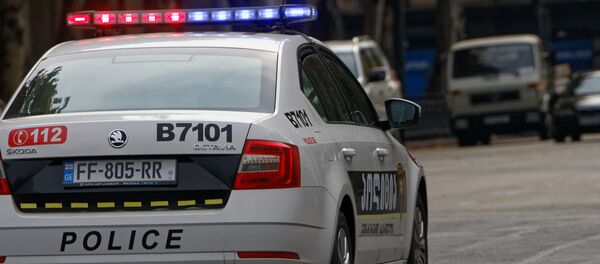 Патрульная полиция - Sputnik Грузия