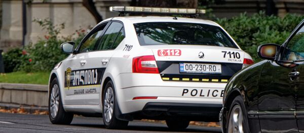 Патрульная полиция Патрульная полиция - Sputnik Грузия