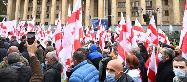Акция оппозиции 14 ноября 2020 года - активисты у парламента Грузии с флагами - Sputnik Грузия