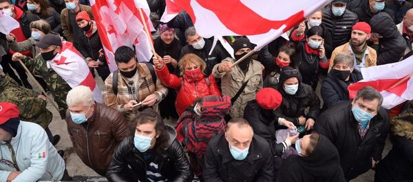 Акция оппозиции 14 ноября 2020 года - активисты у здания парламента Грузии с флагами Акция оппозиции 14 ноября 2020 года - активисты у здания парламента Грузии с флагами - Sputnik Грузия