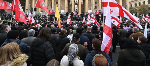 ოპოზიციის საპროტესტო აქცია - Sputnik საქართველო