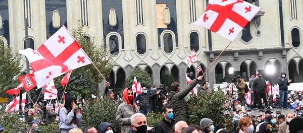Акция протеста оппозиции 14 ноября 2020 года - активисты у парламента с флагами - Sputnik Грузия