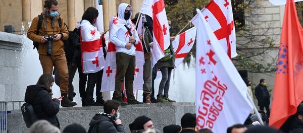 Акция протеста оппозиции 14 ноября 2020 года - митингующие в масках и с флагами - Sputnik Грузия