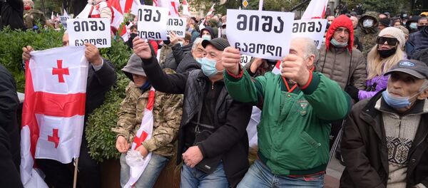 Акция протеста оппозиции 14 ноября 2020 года - протестующие держат плакаты Миша, приезжай! - Sputnik Грузия