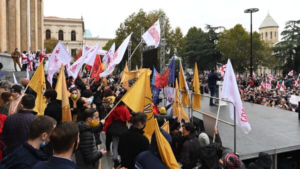 Акция протеста оппозиции 14 ноября 2020 года - протестующие с флагами у парламента - Sputnik Грузия