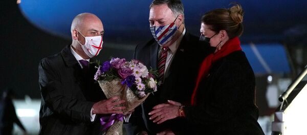 Майк Помпео прибыл в столицу Грузии - встреча в тбилисском аэропорту - Sputnik Грузия