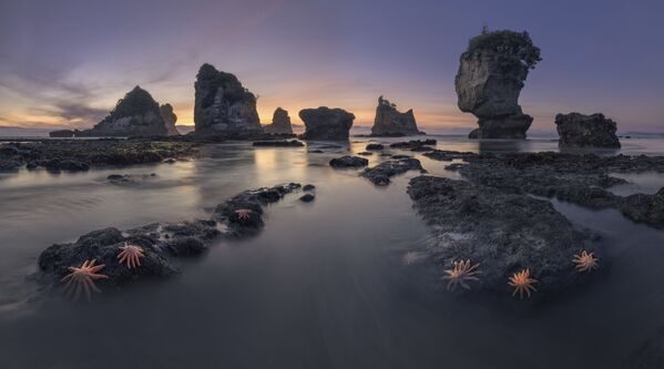 Снимок российского фотографа Сергея Алешченко под названием Берег Новой Зеландии, сделанный на пляже Мотукеке в Барритауне - Sputnik Грузия