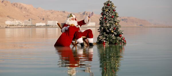 Санта-Клаус возле рождественской елки на Мертвом море - Sputnik Грузия