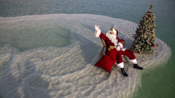 Санта-Клаус возле рождественской елки на Мертвом море - Sputnik Грузия