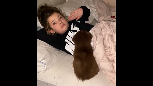 Реакция спавшей девочки на подаренного щенка покорила Сеть – 35 млн просмотров на видео - Sputnik Грузия