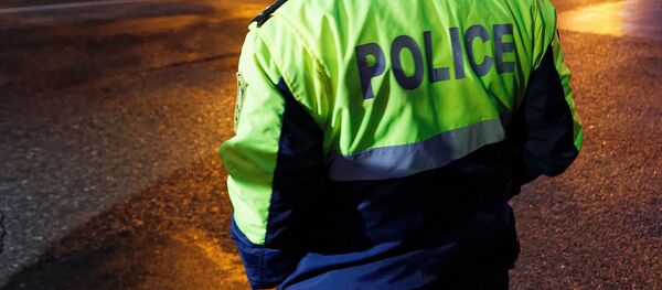 Патрульная полиция - Sputnik Грузия