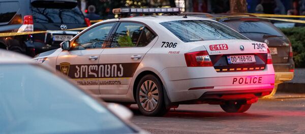Патрульная полиция - Sputnik Грузия