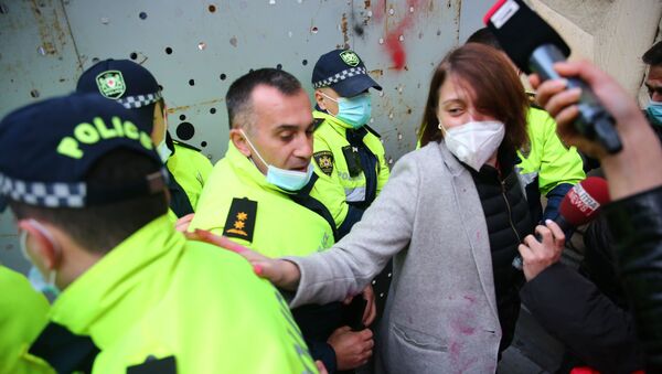 Акция Элене Хоштария и стычка с полицией у здания парламента Грузии - Sputnik Грузия