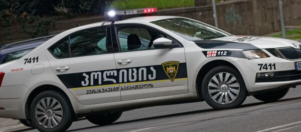 საპატრულო პოლიცია - Sputnik საქართველო