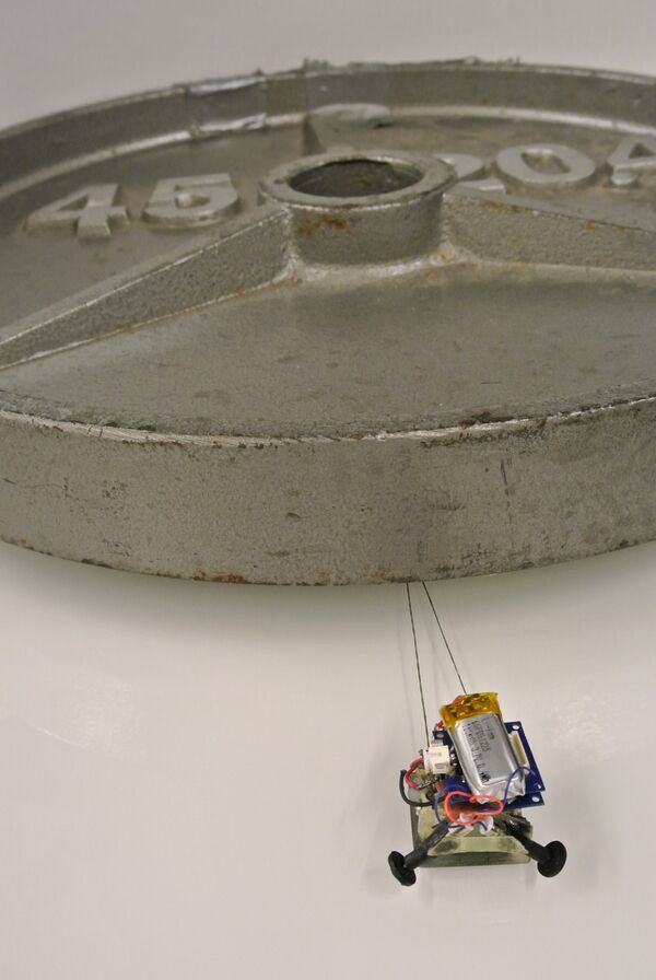 Микроробот MicroTugs весом 12 граммов может передвинуть вес больше своего собственного в 2000 раз. Благодаря инновационной системе крепления и передвижения крошечные роботы из Стэнфорда просто чередуют свободное движение с упором, что позволяет им двигаться по любым поверхностям. В результате робот способен тянуть вверх по вертикальной плоскости вес в 200 раз больше собственного

 - Sputnik Грузия